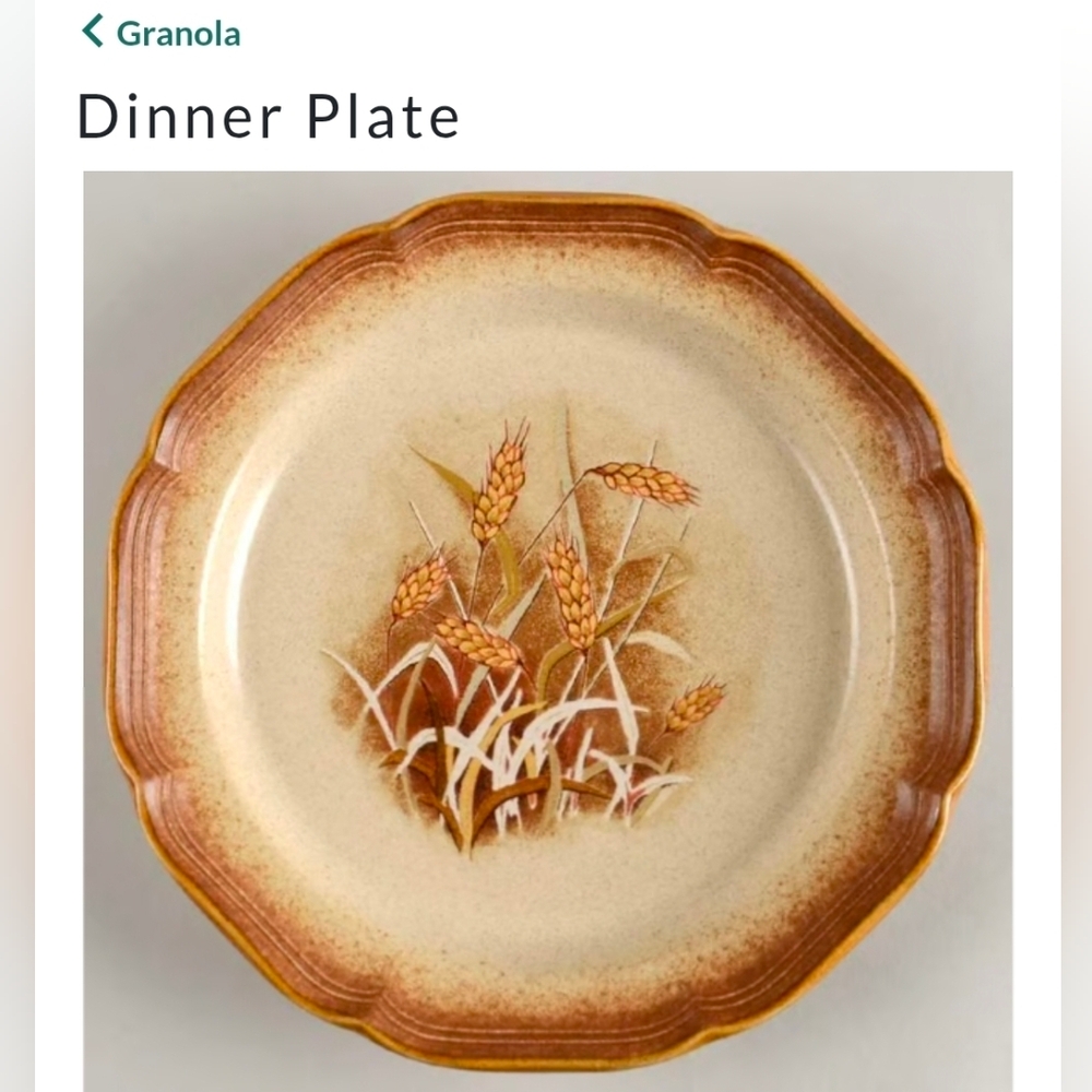 #1 [MIKASA] (2) Dinner Plates: Mikasa Whole Wheat E8001 [1 of 3 pairs]